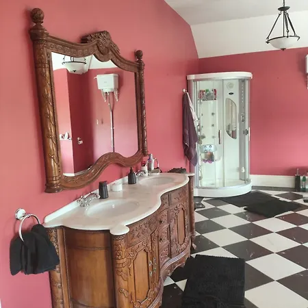 Charlesfort House Ferns