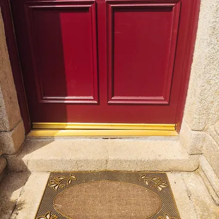 Charlesfort House Ferns