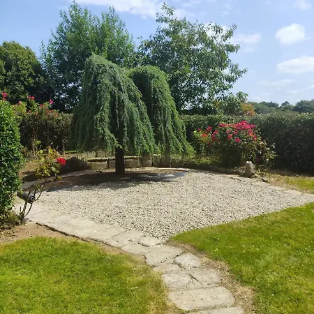 Charlesfort House Ferns