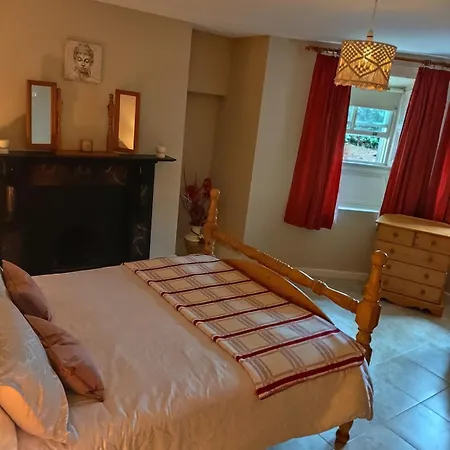 Charlesfort House Ferns