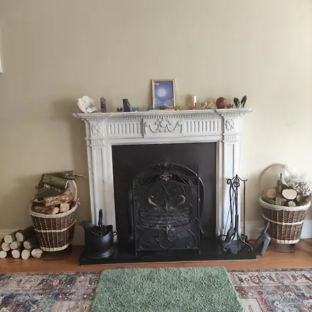 Charlesfort House Ferns