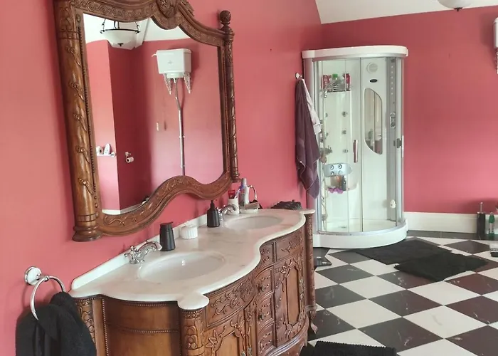 Charlesfort House Ferns